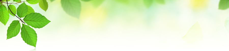 �����̐����I�炪����l�������炱�����킦�鎩�R�Ȋy���݂Ƃ�